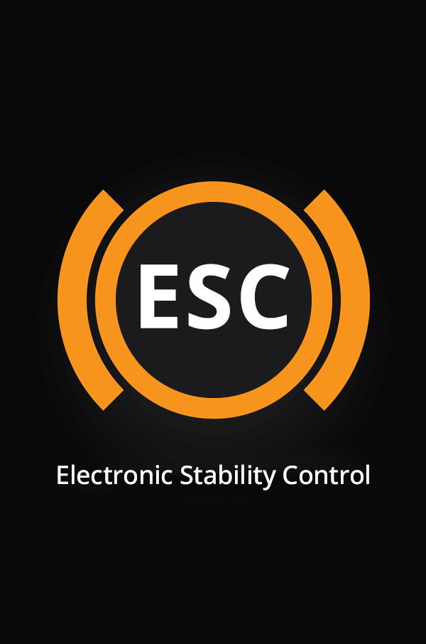 Electronic Stability Control (ESC)